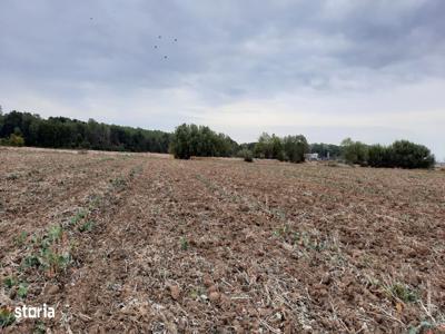 Teren deschidere 30 m, la 150 m de A0, 1 Decembrie