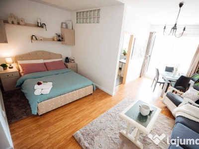 Apartament tip studio -Zona Iulius Mall