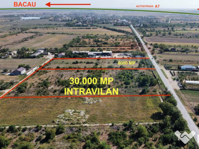 Lot 6000mp intravilan langa A7