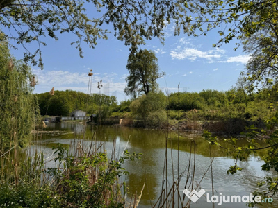 Teren 10000 mp Deschidere Lac Silistea Snagovului De Vanzare