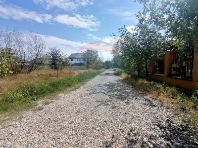 Teren Agricol, Intravilan vanzare, in Bucuresti Ilfov, Domnesti