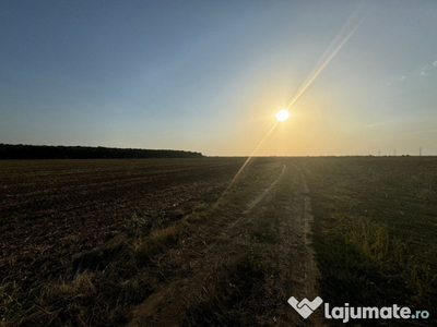 Teren extravilan arabil - Tâncăbești, comuna Snagov, 4365mp