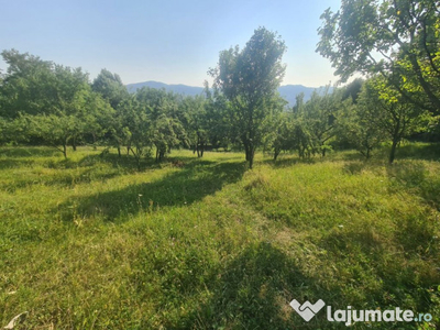 Teren intravilan de vânzare în Breaza - Zona Capul