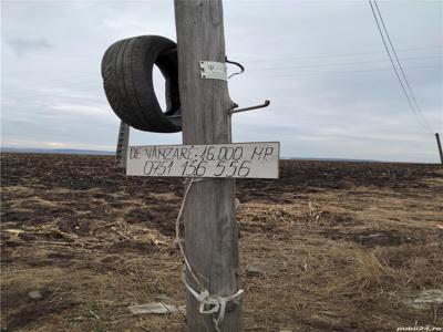 16.000 mp teren la ieșirea din Tg Frumos către Botoșani