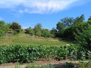 1000 m teren intravilan în Trestiana, zona neinundabila