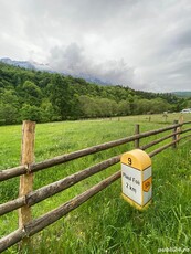 Brasov - Plaiul Foii, 2.750 mp teren intravilan in zona pitoreasca.