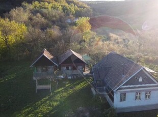 Casa cu teren de 2000 mp de vanzare , Muresenii de Campie