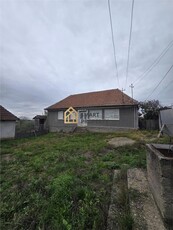 De vanzare casa in Tasad pe teren intravilan de 8600 mp