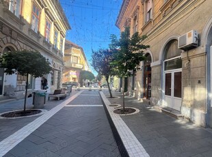 Spatiu comercial de inchiriat pe strada Metianu