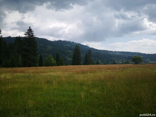 Teren de vanzare - com. Saru Dornei, jud. Suceava