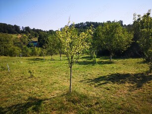 Teren de vanzare intravilan 20 ari