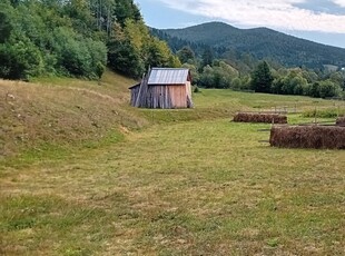 Teren de vânzare... suprafața 3,7Ha