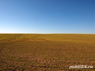 Teren extravilan agricol 2 ha