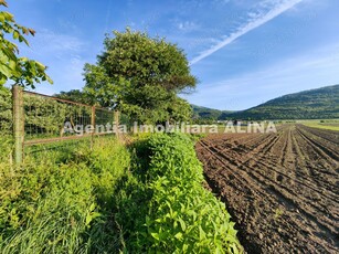 Teren intravilan 4094mp in Satul Soimus din Comuna Soimus, Jud. Hunedoara.