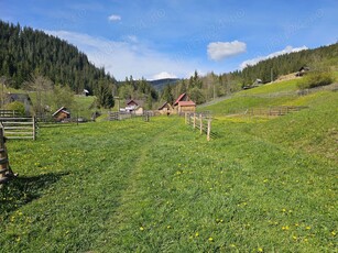 Teren intravilan de vanzare in Bucovina Com Breaza Zona Paraul Brezii