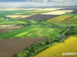 Teren Necopoi, Tatarasti, Viile SM Preiau Arenda Teren in Judetul Satu Mare cu plata pe loc !