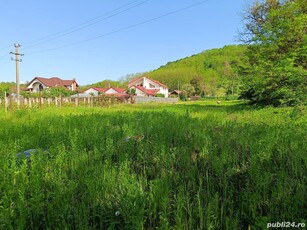 Teren, Tisau jud Buzau