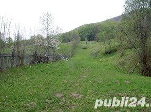 Terenuri de vanzare la Valea Doftanei