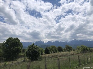 Vând teren comuna Cârtișoara , Sibiu