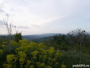 Vand teren extravilan curtea de arges