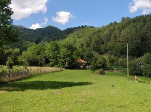 Vanzare teren intravilan in zona Varlaam, judetul Buzau