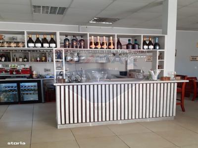 Restaurant Autoservire Piata Gemeni Cedare de Business