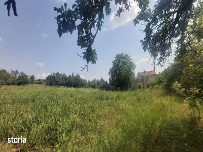 2 terenuri intravilane de vânzare Chițorani Bucov