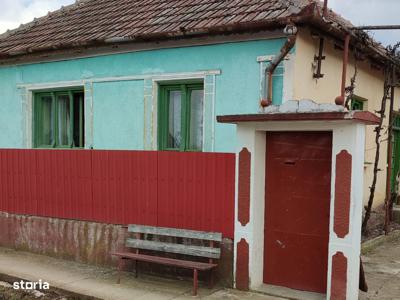 Proprietate Excepțională în Ianosda, Două Case cu Teren Agricol