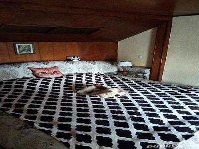 Sinaia,inchiriez 2 apt/ vila