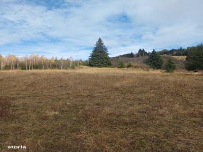 Spre vanzare teren retras in Bucovina / Campulung Moldovenesc