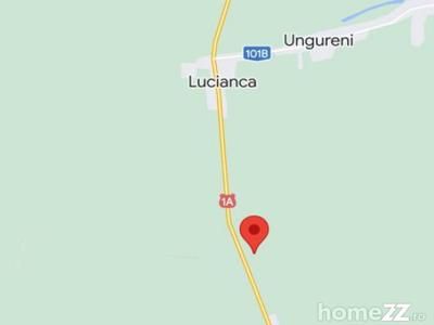 Teren extravilan 10.000 mp - Lucianca - Butimanu