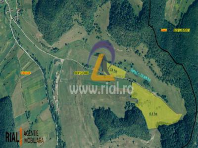 Teren extravilan 10,88 ha | Nr. 1536