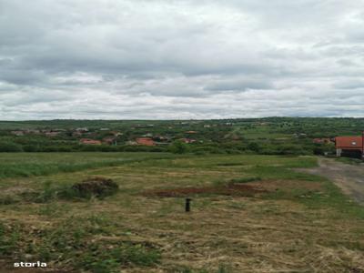 Parcele pentru casa - str Caisilor