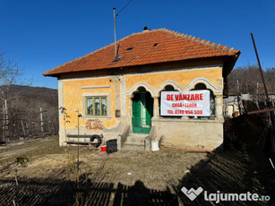 Teren 6115mp+Casa batraneasca Ramnicu Valcea, Valcea