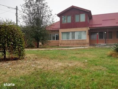 Vanzare casa P+M Letca Veche, 5 camere, teren 1.587 mp