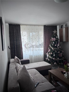 Apartament 2 camere - Podu Ros - Pasapoarte