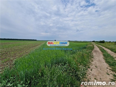 Teren agricol intravilan Uliesti, sat Ragu, apropiere Autostrada A1