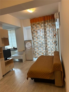 Apartament 1 camera Zimbrului 13