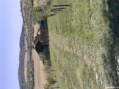 Proprietar, vând teren extravilan, loc. Hărău, jud. Hunedoara, 3107mp.