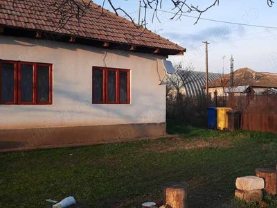 Segarcea, Casa 3 camere + curtea 1700mp