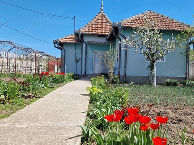 Vand gospodarie completa in comuna CORLATEL, Mehedinti