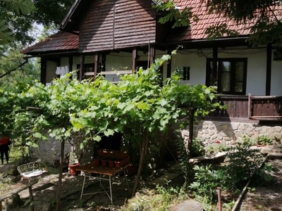 Casa Valea Doftanei. Vand proprietate Valea Doftanei compusa