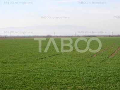 Teren extravilan agricol 16.300 mp 4 parcele zona Maghierat Ohaba Alba