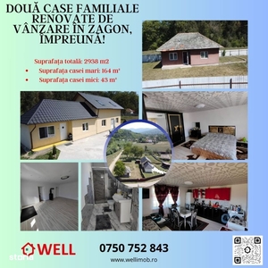 Două case familiale renovate de vânzare în Zagon, împreună!