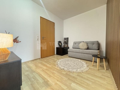 Studio cochet+boxa, Avantgarden short/long term, pet friendly