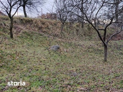 Teren de vanzare in comuna Baia de Fier