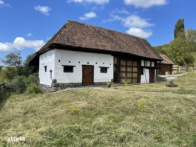 Vand casa si gospodarie la tara