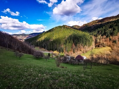 Teren Bucium, judetul Alba afacere la cheie