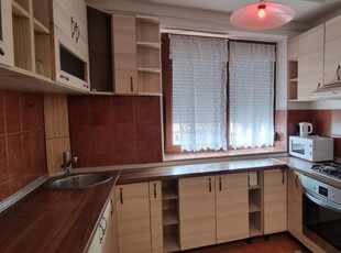 Apartament 2 camere etaj 3 Botizului