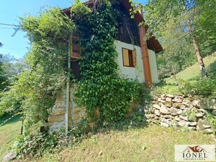 Casa rustica de vanzare in zona Zlatna